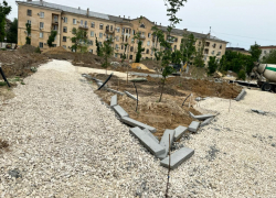 Информацию о человеческих останках в сквере прокомментировала мэрия Волгограда