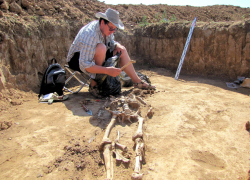 Волгоградские археологи нашли редкие артефакты раннего железного века