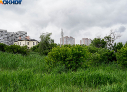 «Расследуется убийство»: подробности гибели 26-летнего пропавшего после корпоратива волгоградца