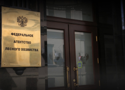 Федералы взял на карандаш волгоградских чиновников 