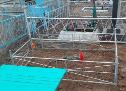 Эксгумация проводится на тайном захоронении на детской могиле, нелегально появившейся на кладбище в Волгограде