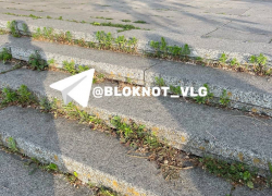 "Загаженный птицами Ленин и непроходимые заросли": что творится у самого высокого памятника вождю в Волгограде 