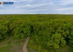 Женщина вышла погулять и умерла в Центральном парке в Волгоградской области