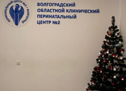Семья Симоновых из Волгограда благодарит областной перинатальный центр 
