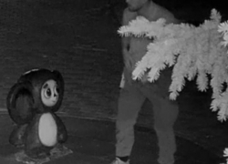 Испражнитель попал на камеру: в Волжском второй раз за месяц осквернили Чебурашку