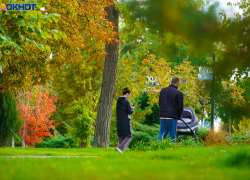 «Бить надо не по людям»: четких разъяснений по поводу блокировок мессенджеров потребовали депутаты