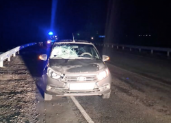 Неизвестного мужчину сбили насмерть в Волгоградской области