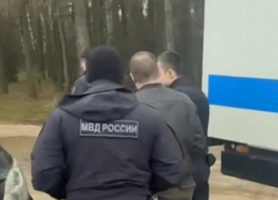 Одна из жертв Богородского маньяка найдена под Волгоградом 