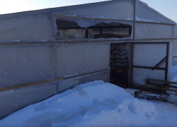 Появилось видео и фото с места гибели шести иностранцев в теплице под Волгоградом