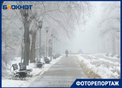 Улицы утреннего Волгограда, объятые туманом, в объективе фотографа