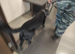 Анархо-коммунист требует поднять зарплату волгоградцам для остановки «взрывов» заводов