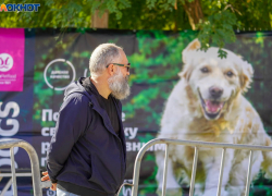Волгоградская область скатилась в рейтинге материального благополучия населения