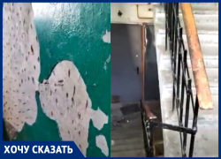 "Платим за содержание имущества 1203 рубля ежемесячно": волгоградцы сняли на видео все прелести подъезда