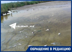 «Нечем поить скотину, стоят огороды»: волгоградское село погибает без питьевой воды