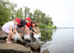 «Красный октябрь» в третий раз поддержал экологическую акцию по восстановлению популяции русского осетра