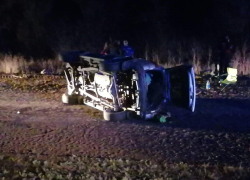 В Волгоградской области в ДТП разбились 9 детей