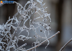 Заморозки до -3 объявили в Волгоградской области