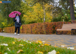 Теплом до +15 порадует волгоградцев солнечно-рыжее воскресенье