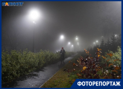 Неоновая готика: 35 фото невиданно плотного тумана в Волгограде