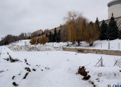 Территорию панорамы «Сталинградская битва» превратили в кладбище коммунальных отходов