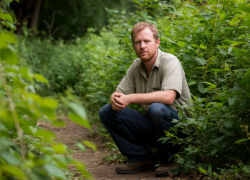 «Либо в кусты, либо в штаны»: проблема с запашком назрела на юге Волгограда