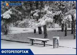 Заснеженный Волгоград в объективе фотографа