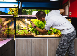  Волгоградец скончался от удара током в аквариуме