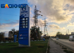 Падение цен на бензин предсказывает экономист Бельских