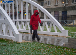 Предзаморозки придут впервые с начала сезона в Волгоград 