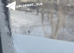 «Подвал закрыт, работы стоят»: слой льда появился на окнах замерзающих волгоградцев