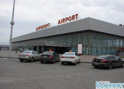 Волгоградские легкоатлеты вернулись домой [фото]