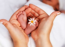 22 крошечных волгоградца появились на свет в Татьянин день 