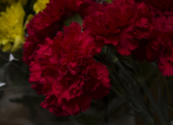 Сегодня Волгоград прощается с бывшим главой администрации Красноармейского района