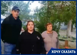 Спилить 60-летние деревья требуют жители Волгограда 