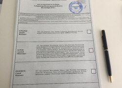 Стало известно, во сколько обошлась предвыборная кампания кандидатам в губернаторы Волгоградской области 