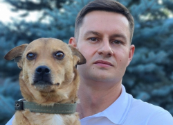 Молодой депутат гордумы Волгограда к концу полномочий завел новую жену и собаку