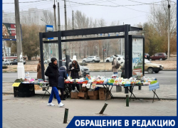 Разобраться с лоточной торговлей ширпотребом и красной икрой требуют в Волгограде