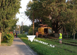 Трамвайный коллапс: в Волгограде движение парализовало упавшее дерево