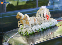 Волгоградка фиктивно вышла замуж за иностранца ради гражданства 