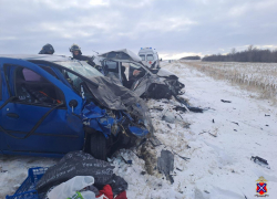 Весь салон в крови: появилось видео с места гибели двух человек на трассе под Волгоградом 