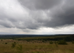Труп волгоградца нашли в салоне Mercedes