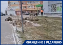 Укладку газона в 10-градусный мороз заметили в Волгограде 