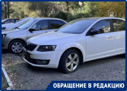 «Город нищий, штрафы московские»: волгоградца оштрафовали за парковку на условной зеленой зоне