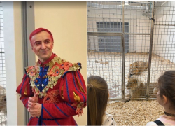 Закулисье волгоградского цирка показали зрителям после ремонта за два миллиарда