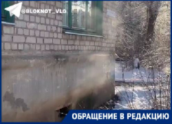 Вонь, мошкара и тараканы: парящий подвал неделю кошмарит жителей дома на юге Волгограда