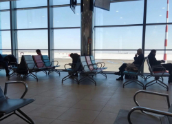 Самолету из Волгограда помешали приземлиться новосибирские птицы 