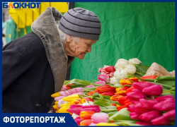 Таких цен еще не было: тюльпаны рекордно подорожали перед 8 Марта в Волгограде