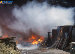 Конюшня загорелась под Волгоградом