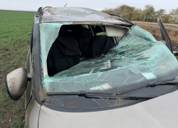 Мертвую девочку нашли на трассе под Волгоградом