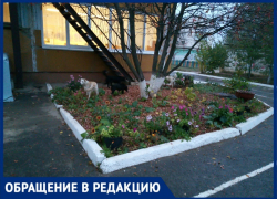 Добрались до детского сада: за безопасность детей боятся жители поселка в Волгограде